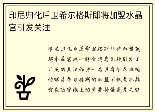 印尼归化后卫希尔格斯即将加盟水晶宫引发关注